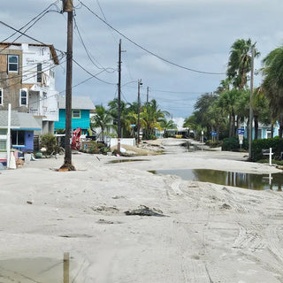 Post-Hurricane Helene: Visiting Anna Maria Island