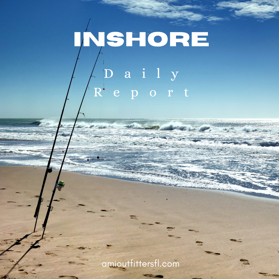 Inshore Fishing Report for Anna Maria Island: September 12, 2024