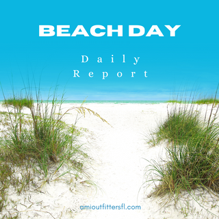 Anna Maria Island Beach Day Report for August 30, 2024