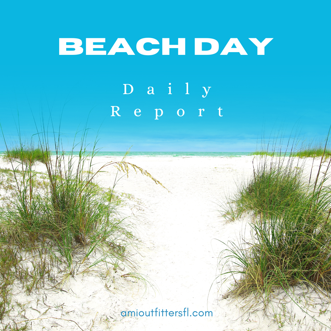 Beach Day Report for Anna Maria Island: September 1, 2024
