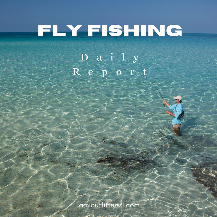 Fly Fishing Report for Anna Maria Island: September 10, 2024