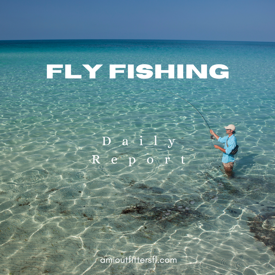 Fly Fishing Report for Anna Maria Island: September 2, 2024