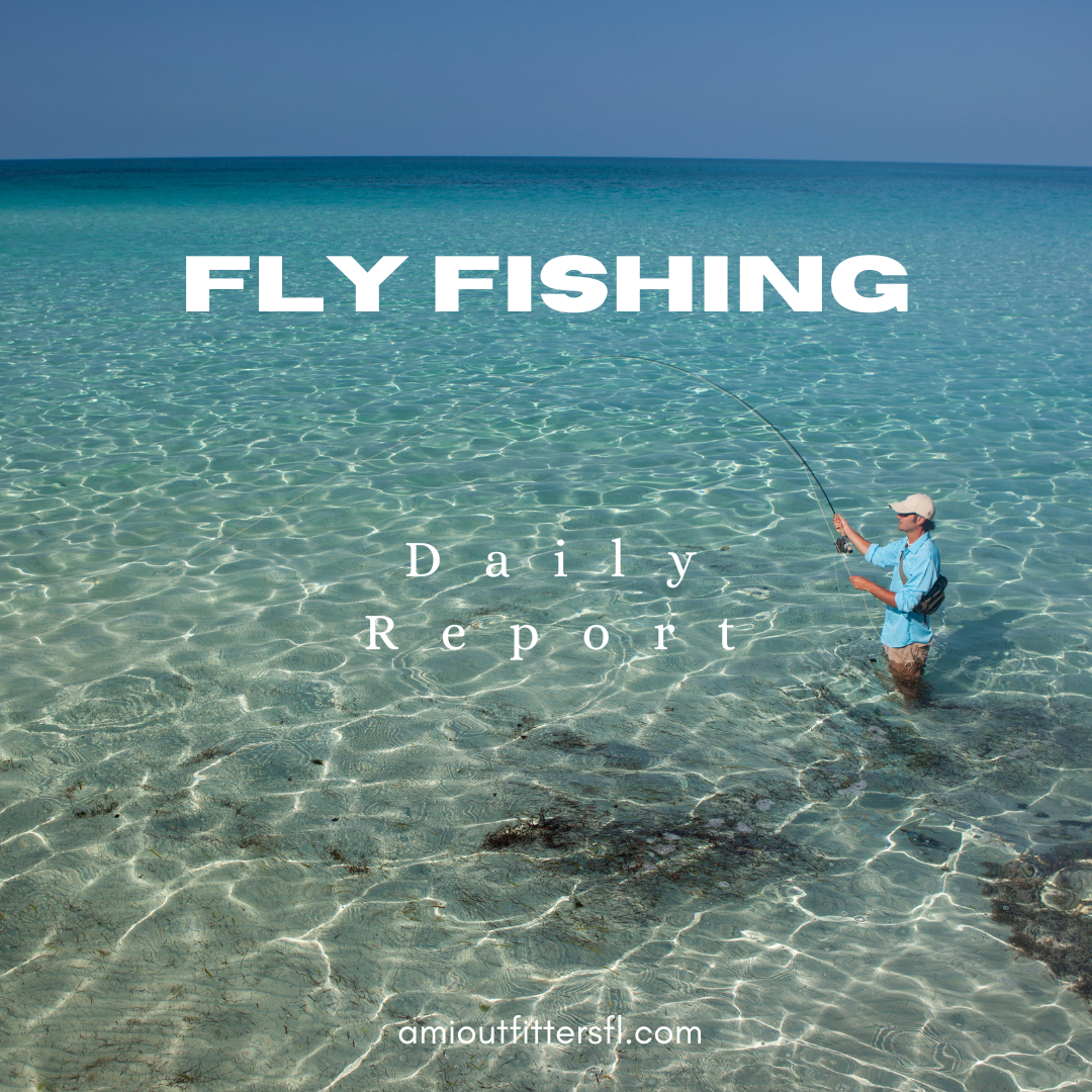 Fly Fishing Report for Anna Maria Island: September 1, 2024