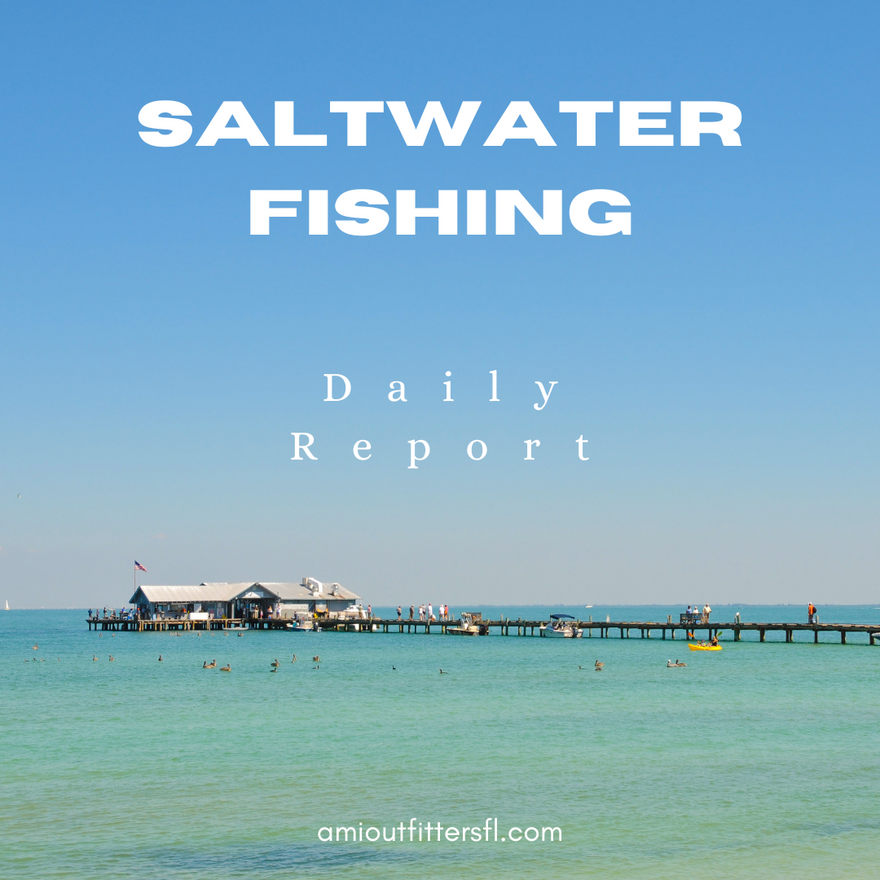 Fishing Report for Anna Maria Island: September 26, 2024