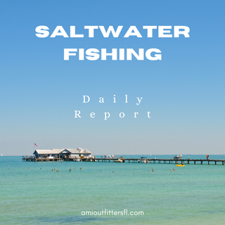 Saltwater Fishing Report for Aug. 30th 2024