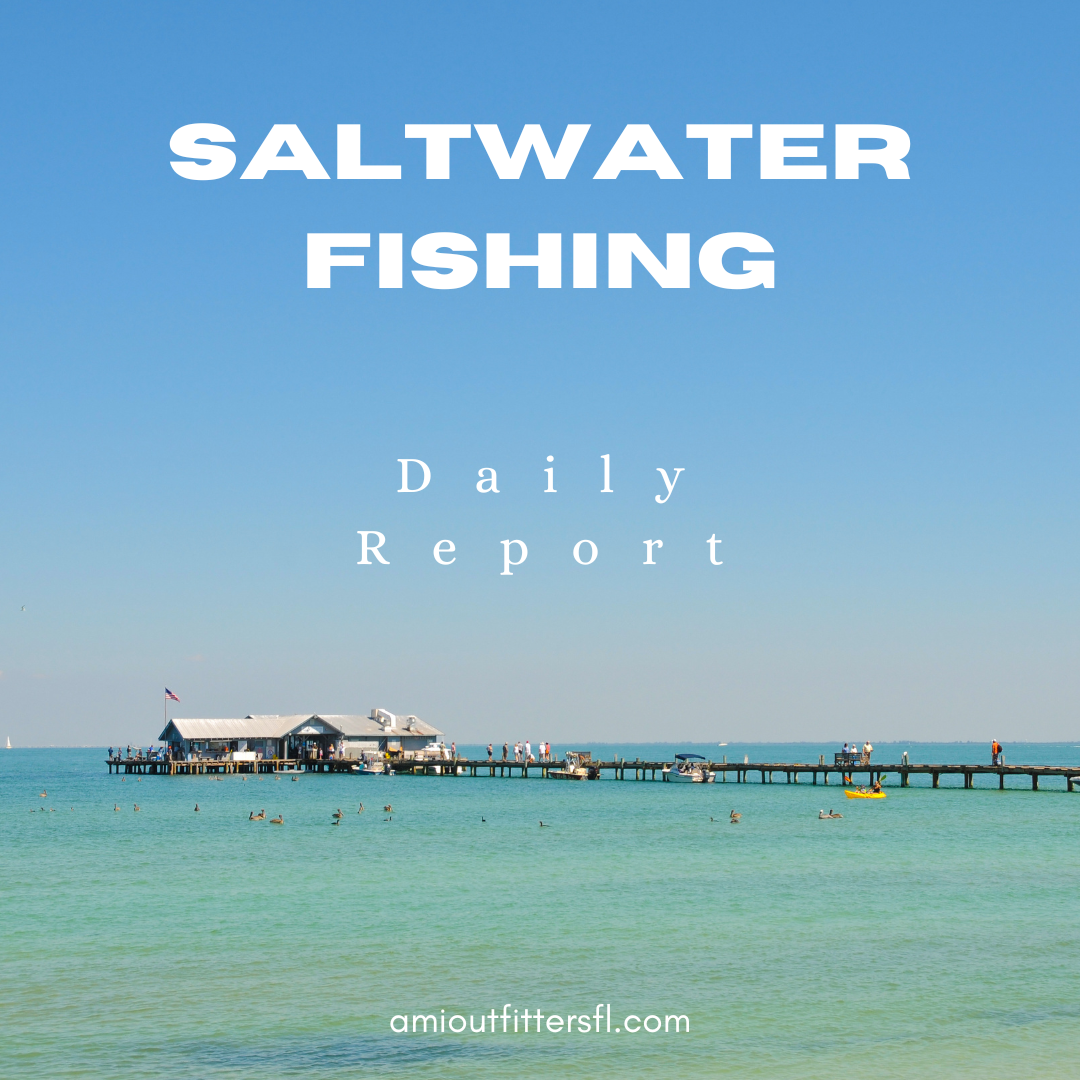 Saltwater Fishing Report for Anna Maria Island: August 31, 2024