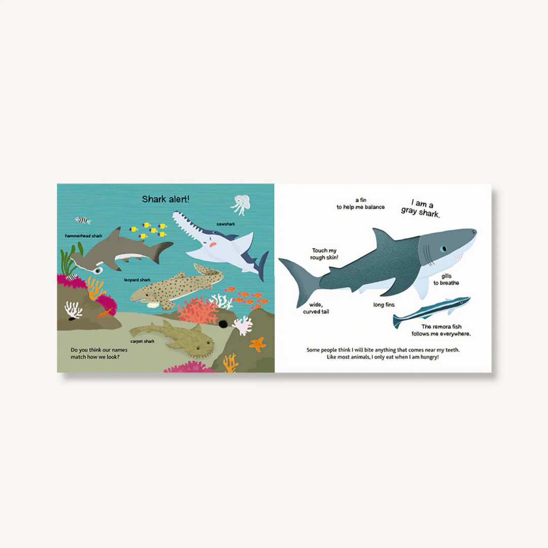 Touch and Explore: The Ocean Book