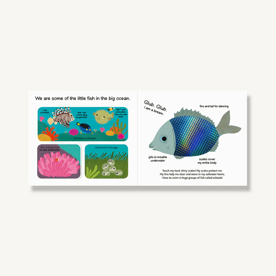 Touch and Explore: The Ocean Book